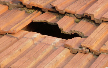roof repair Levisham, North Yorkshire